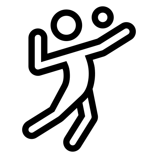 كرة الطائرة 