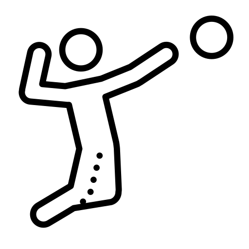 الطائرة الشاطئية